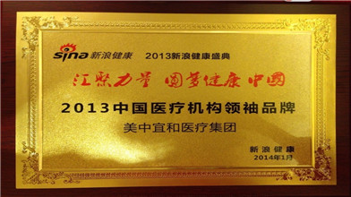 美中(美津)宜和荣膺新浪网2013中国医疗机构领袖品牌